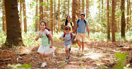 6 Reasons Why Summer Hiking Will Refresh Your Fitness Routine