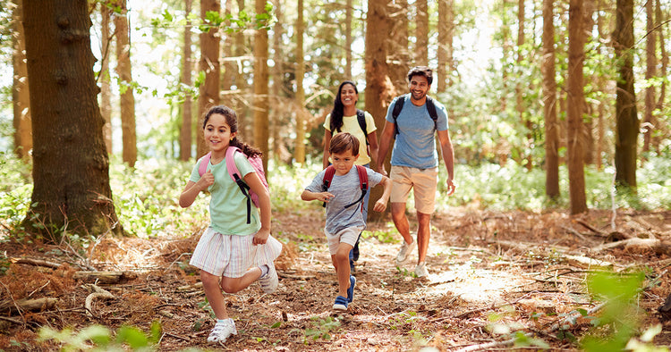 6 Reasons Why Summer Hiking Will Refresh Your Fitness Routine
