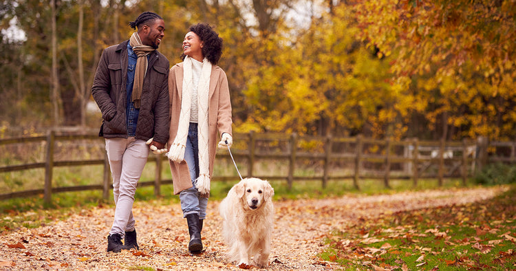 Walktober: 31 Days to Increase Your Daily Steps