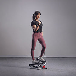 sunny health and fitness stepper workout