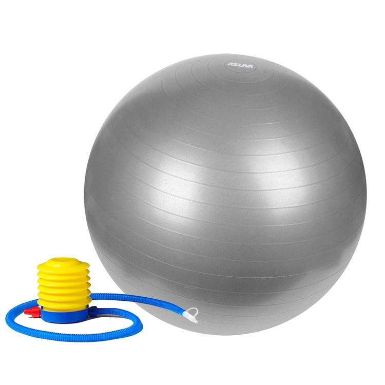 Asuna Grey Large Exercise Ball with Air Pump