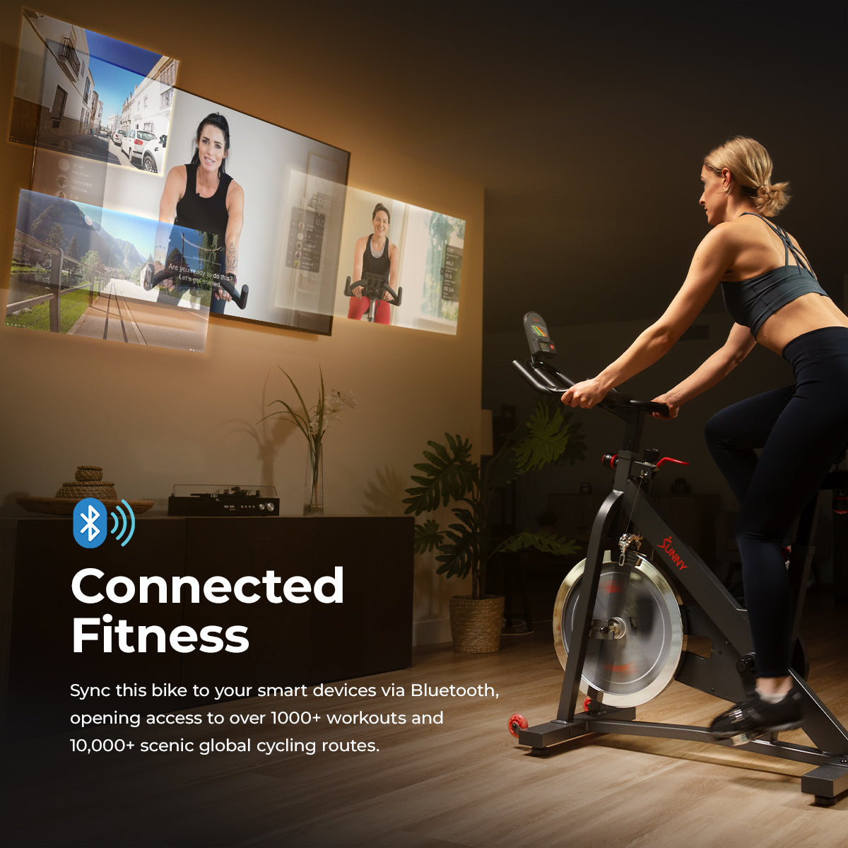 Smart Pro Indoor Cycling Exercise Bike Sunny Health and Fitness