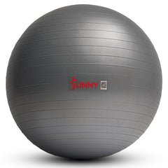 Premium Yoga Ball Medium - 65 cm