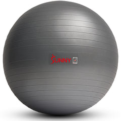 Premium Yoga Ball Medium - 65 cm