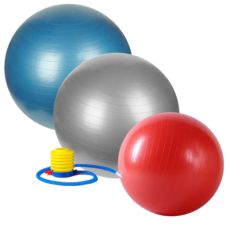 Anti-Burst Gym Ball w/ Pump - 55cm - 75cm - Sunny Health and Fitness