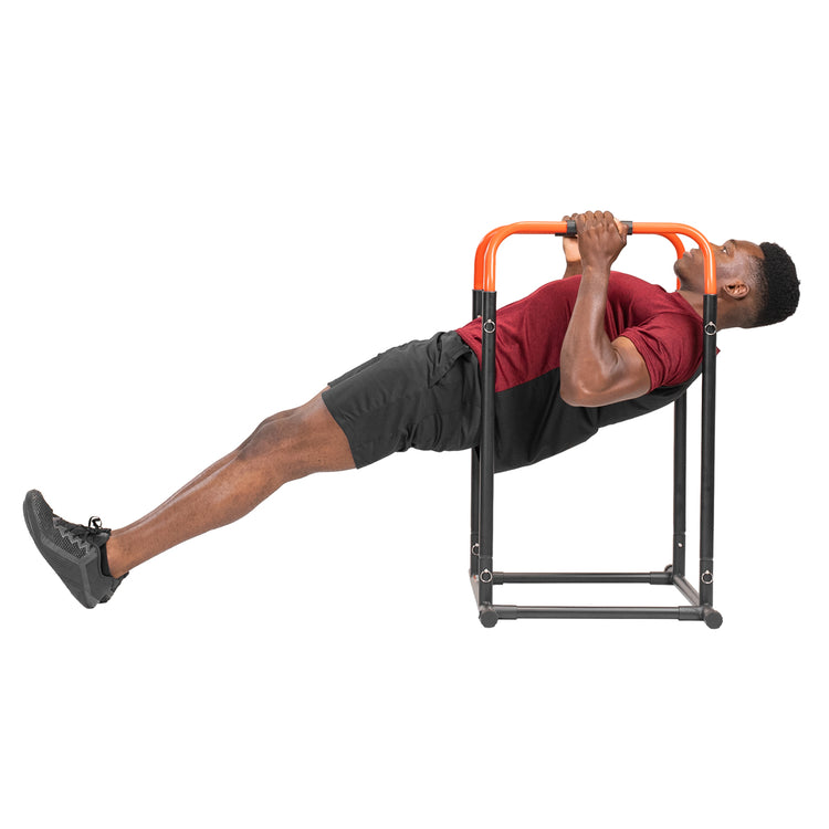 Levels Adjustable Dip Station Sunny Health Fitness Sunny